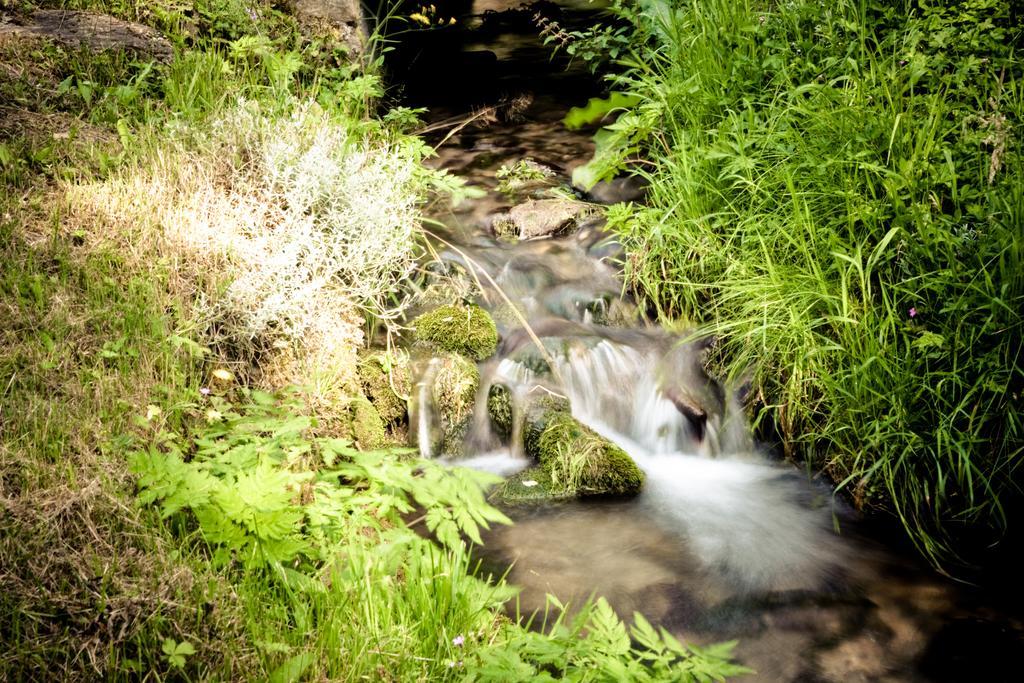 Auberge Du Moulin De Lere Vailly Экстерьер фото